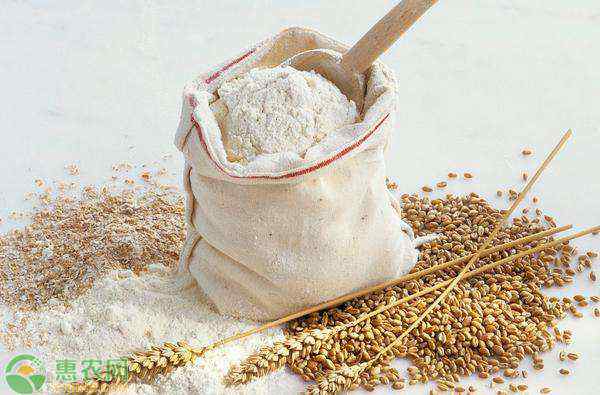 小麦粉可以做什么 小麦粉可以做什么？