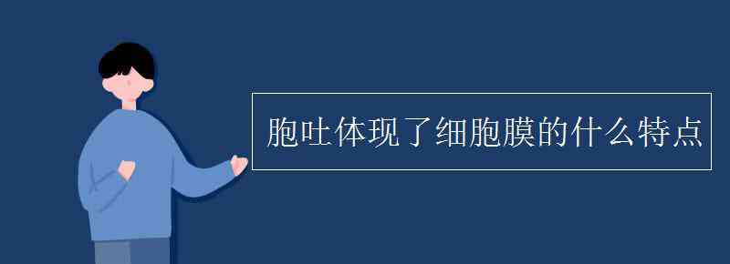 胞吞胞吐 胞吐体现了细胞膜的什么特点