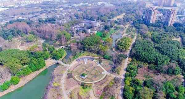 上海植物园 2020上海植物园开放时间及游玩攻略 上海植物园现在开放吗