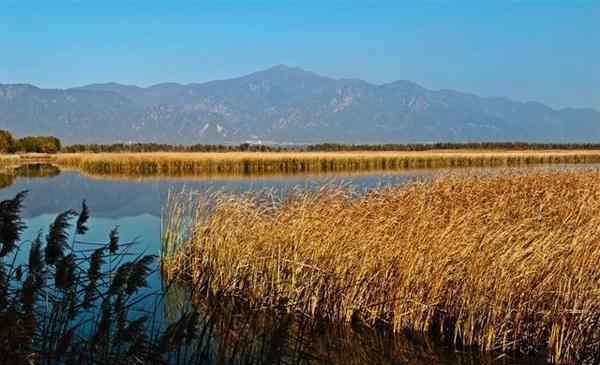 野鸭湖湿地公园 2019北京野鸭湖湿地公园门票价格+开放时间+游玩项目
