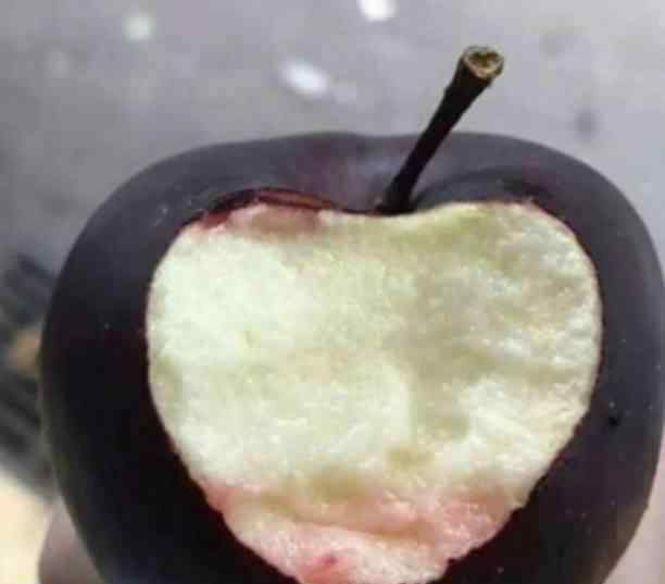 黑钻苹果 黑钻苹果好吃吗？它为什么被成为“黑色使命”