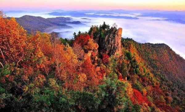 金山风景区 2020镇江金山风景区门票交通及景点介绍