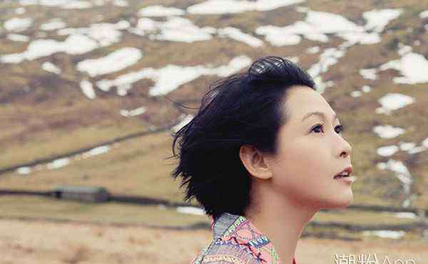 刘若英为什么叫奶茶 刘若英为什么叫奶茶  其外号由来的原因揭晓