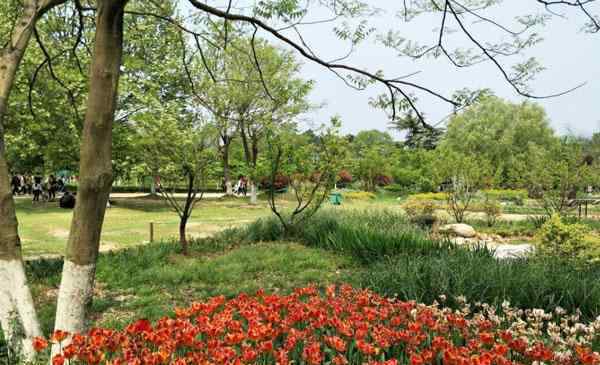 合肥植物园 2020安徽合肥植物园门票交通天气 合肥植物园旅游攻略