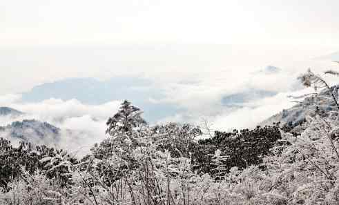 西岭雪山好玩吗 西岭雪山夏天适合去吗 西岭雪山夏季游玩攻略