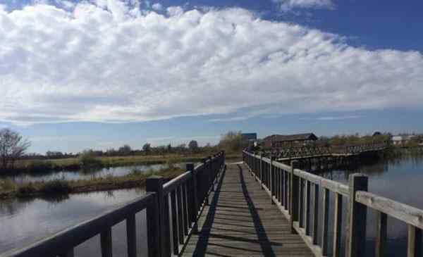 伊春市新青区 2020伊春新青国家湿地公园旅游攻略 新青国家湿地公园门票交通天气