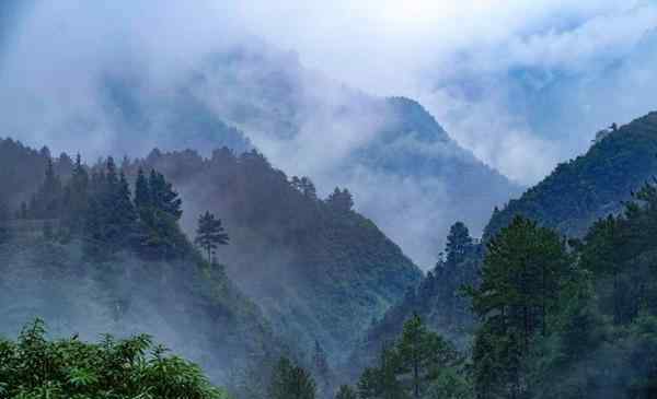 黑山谷一日游 2020重庆黑山谷旅游攻略 重庆黑山谷自助游 重庆黑山谷门票交通景点介绍