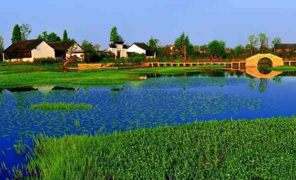 西溪湿地图片 杭州西溪湿地公园图片 实拍实景