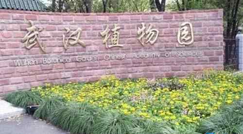 武汉植物园门票 2018武汉植物园门票价格+优惠政策+注意事项