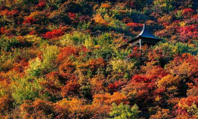 坡峰岭 2020北京坡峰岭游玩攻略 坡峰岭风景区门票交通天气及景点介绍