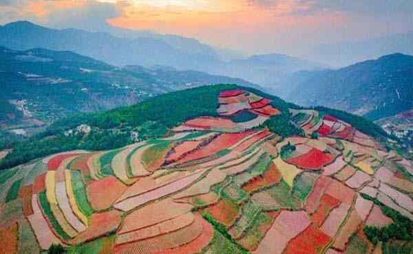东川红土地旅游 2020东川红土地旅游攻略 东川红土地门票价格