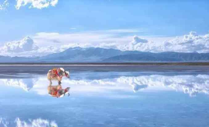 这个季节旅游去哪里好 2019国内一年旅行时间表 这个季节去哪里旅游最好国内