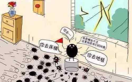 尘螨 粉尘螨和屋尘螨区别是什么