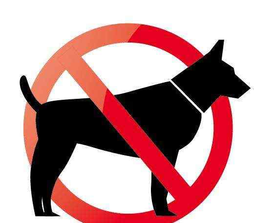 苏牧为什么禁养 有狗的注意了！2019北上广最新的狗狗禁养名单都在这了