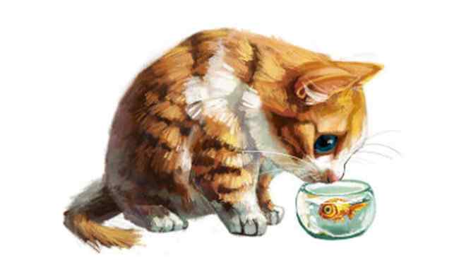 猫吃什么食物 猫最爱吃的10种食物 猫除了吃猫粮还吃什么