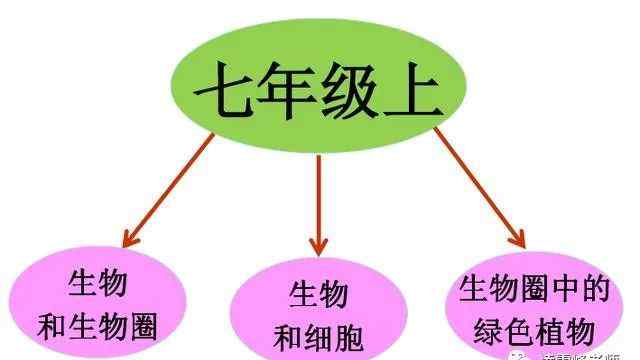 七上生物思维导图大全 七年级生物上全册知识梳理、思维导图让你轻松记忆！高清推荐