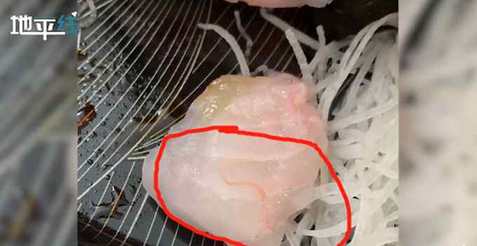 国外600元高价寿司吃出寄生虫！虫子清晰可见 在鱼肉中不停蠕动
