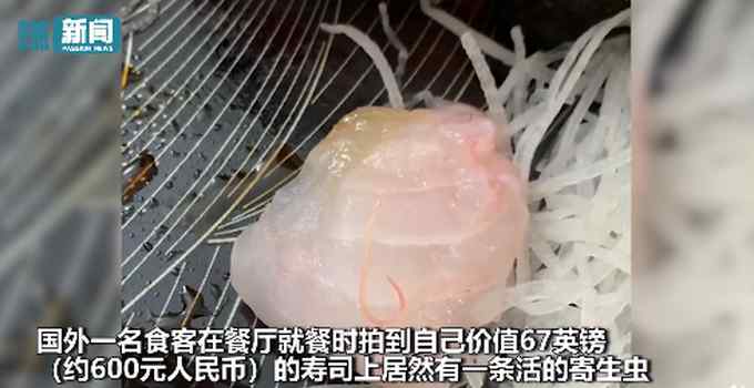 国外600元高价寿司吃出寄生虫！虫子清晰可见 在鱼肉中不停蠕动