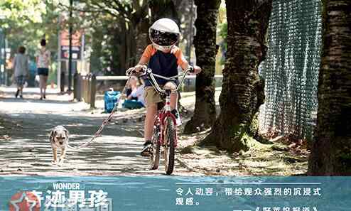 奇迹男孩评价 奇迹男孩的评价如何好看吗 奇迹男孩讲述的什么故事