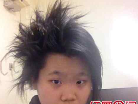 老毕女儿 毕福剑现在做什么工作最新消息 毕福剑女儿毕凌好丑老婆的真照片