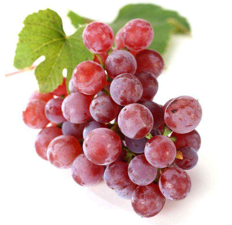 葡萄什么季节成熟 葡萄一般什么时候成熟？不同的葡萄成熟期一致吗