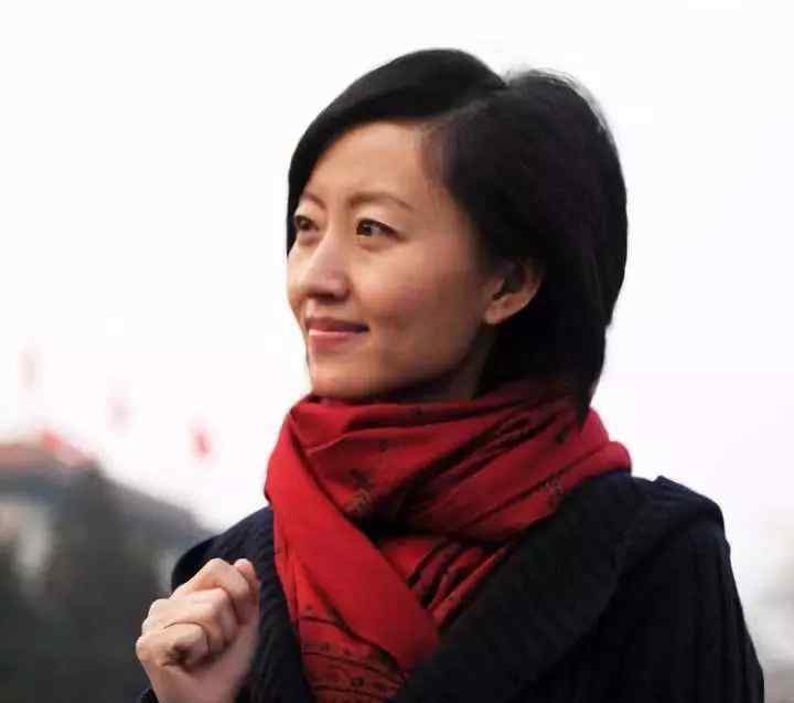 柴静新闻调查 柴静 执着与争议