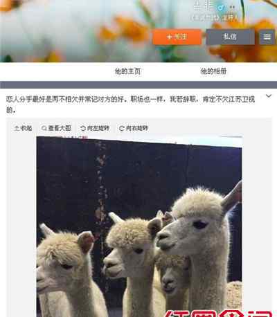 孟非微博 孟非微博暗示离职遭删除 揭秘辞职《非诚勿扰》幕后真相