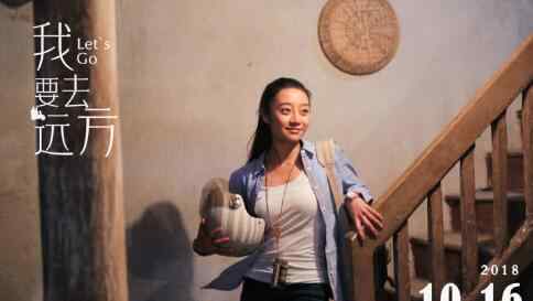 我要去远方 电影我要去远方好看吗豆瓣评分多少 电影结局是什么
