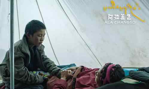 阿拉姜色 阿拉姜色什么意思 电影阿拉姜色为什么改名