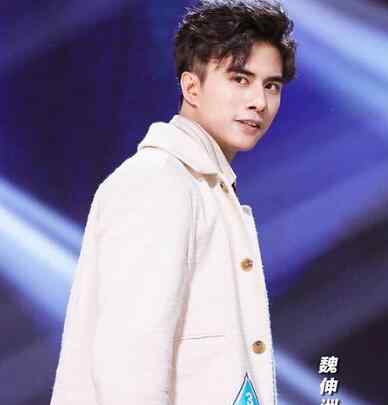 魏伸洲 创造营魏伸洲哪里人 和胡一天撞脸神似兄弟
