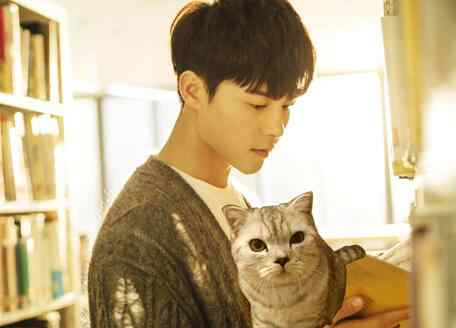 冬菇是什么 冬菇是不是程天佑的猫什么品种 冬菇和凉生的关系又如何