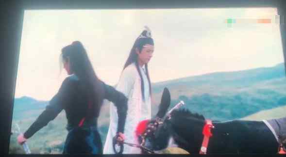 陈情令结局 陈情令结局魏无羡为什么笑 开放式结局没有蓝湛镜头差评