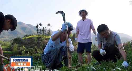 向往的生活2 向往的生活2李诞池子哪一期 最懒李诞阵亡了什么梗