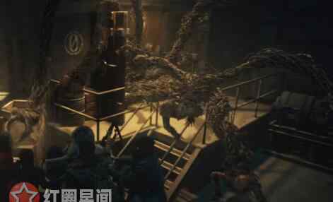 尸参 鬼吹灯之黄皮子坟尸参怎么死的 尸参真实存在吗是什么样子的