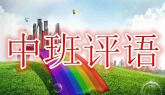 幼儿园评语大全（大、中、小班）
