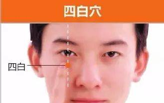 足阳明胃经30个针灸穴位图，高清穴位图解