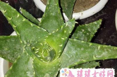 用白醋洗脸能去痘印 痘印怎么消除
