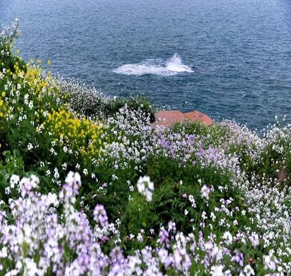 曾国藩诗10首：倚天照海花无数,流水高山心自知