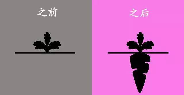 学习心理学的心得体会