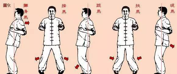 腰马合一，腰胯分离