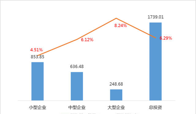 2015年中国人口普查