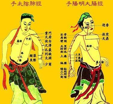 中医经络穴位巧记方法与诀窍