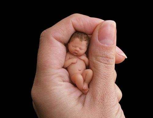 世界上最小的婴儿仅有一拇指之大，称为拇指婴儿