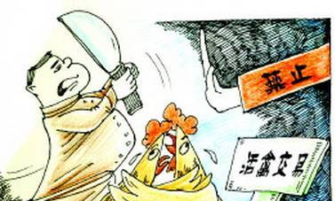官方通告：今天起，温州这地方暂停活禽交易！禽流感高发季再度来袭！
