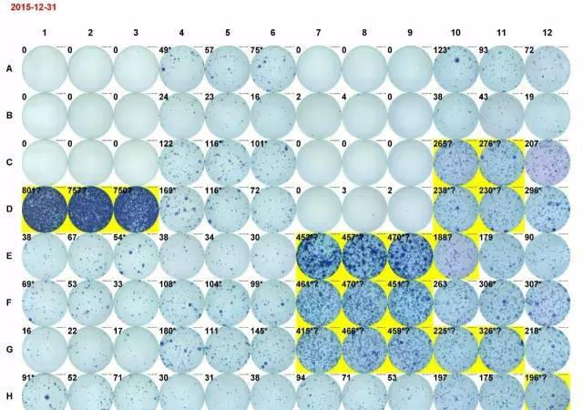 献给初学者： ELISPOT 操作全攻略