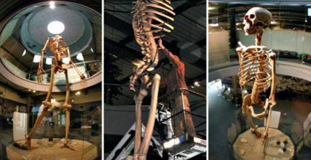 被上帝隐藏的历史：7米高真正巨人骸骨首次公开！