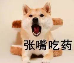 今天凌晨2点半杭州4.2级地震！这些地震的冷知识不得不知，关键时刻能救命！