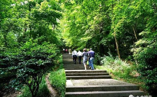 带你走溪口：见证蒋友松回老家溪口干了些什么？