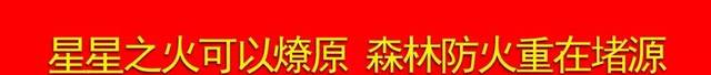 最新信访条例全文（2017最新版本）