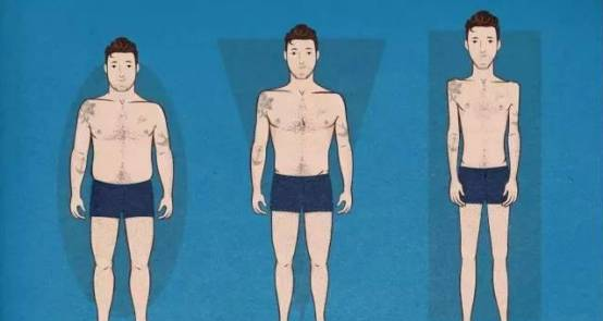 3种身体体型，如何科学的去健身塑形